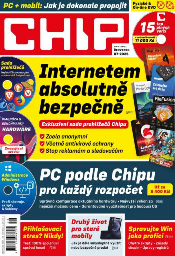 Chip