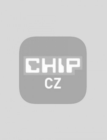 Chip